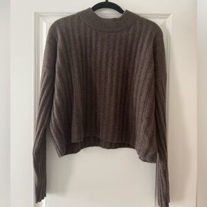 Quince 100% Mongolian Cashmere Sweater